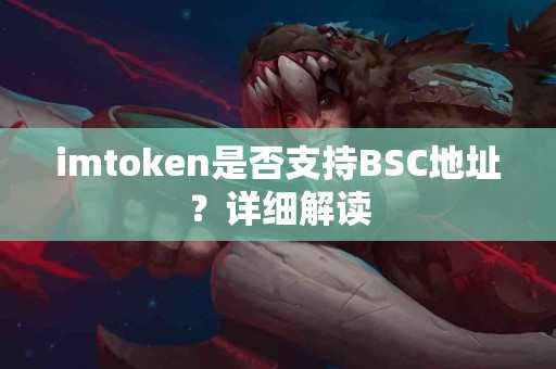 imtoken是否支持BSC地址？详细解读