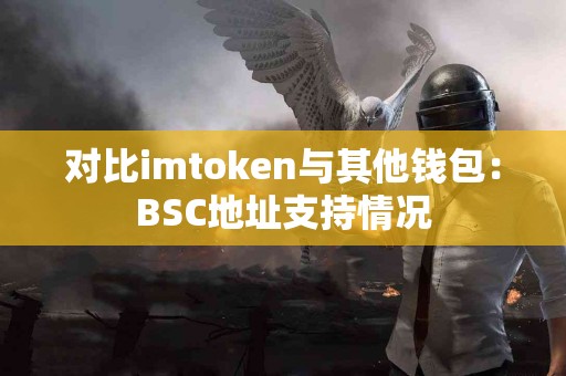 对比imtoken与其他钱包：BSC地址支持情况