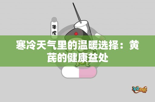 寒冷天气里的温暖选择：黄芪的健康益处
