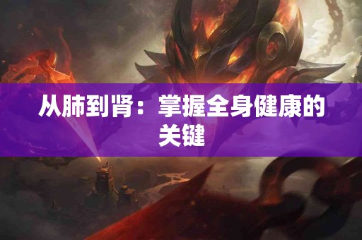 从肺到肾：掌握全身健康的关键